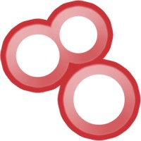 Shodan Logo