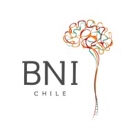 Instituto de Neurociencia Biomédica, BNI Logo
