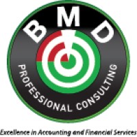 BMD Professional Consulting CPAs Logo