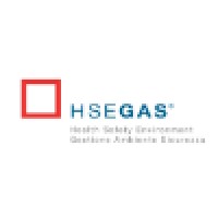 HSEGAS - Gestione Ambiente Sicurezza Logo