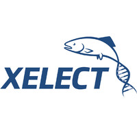 Xelect Ltd Logo