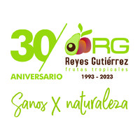 Reyes Gutiérrez S.L Logo