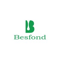 Besfond srl Logo