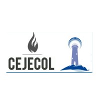 Center for Legal Studies and Economic of Colombia Logo