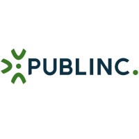 Publinc. Management Consulting Logo