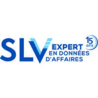 SLV Expert inc Logo