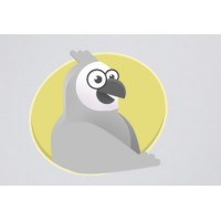 The Grey Parrots Logo