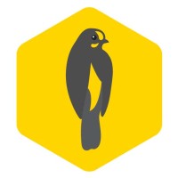 HoneyGuide Logo