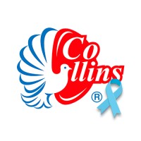 Grupo Collins Logo