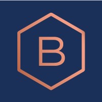 Balthorne Security Solutions Ltd Logo