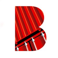 Brunel Shipping & Liner Services Logo