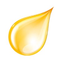Geremia Lubrificanti Logo