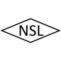 Naina Semiconductor Ltd. Logo