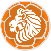 Dutch Pro Soccer- New York Logo