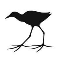 Jacana Media Logo