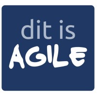 ditisagile.nl Logo
