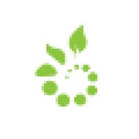 Becoming Srl Logo