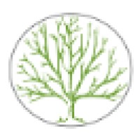 New Story Media Logo