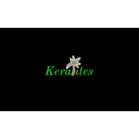 Keralites Media Logo