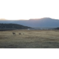 Birch Creek Service Ranch Logo