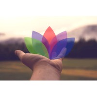 Contemplative Life Logo