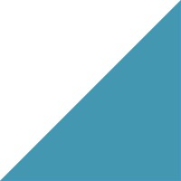 PRECISIONadvisors Logo