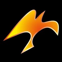 FENIX CONSTRUCCIONES S.A. Logo