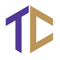 Tinyeleti Consulting Logo