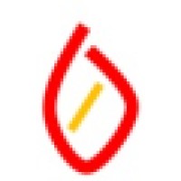 Fire & Electric Systems Logo