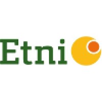 Etni AB Logo