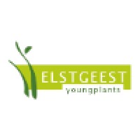 Elstgeest Young Plants Logo