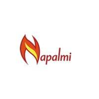 Napalmi Tietotekniikka Oy Logo