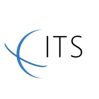 Immersion Technology Services Logo