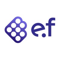 e.fundamentals Logo