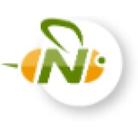 NextBee Logo