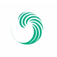 Wave Brazilian Jiu Jitsu Logo