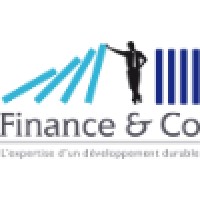 Finance & Co. Logo