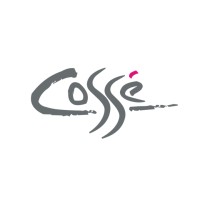 COSSE Ltd Logo