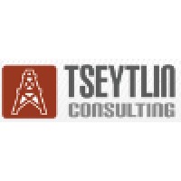 Tseytlin Consulting, Inc. Logo