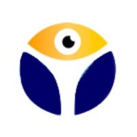 Visualise Training and Consultancy Ltd Logo