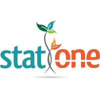 Stat One Logo