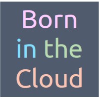 Born in the Cloud Ltd Logo