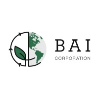 BAI (Bild Alternative Investments) Corporation Logo