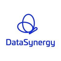 DataSynergy Logo