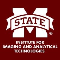 Institute for Imaging and Analytical Technologies Logo