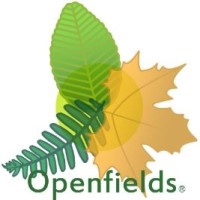 Openfields Consultores SpA Logo