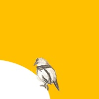 Entrepreneur DZ Logo