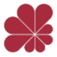 CCA International Logo