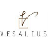 Vesalius SL Logo