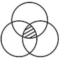 Phyusion Logo